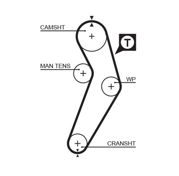 Courroie crantée PowerGrip®