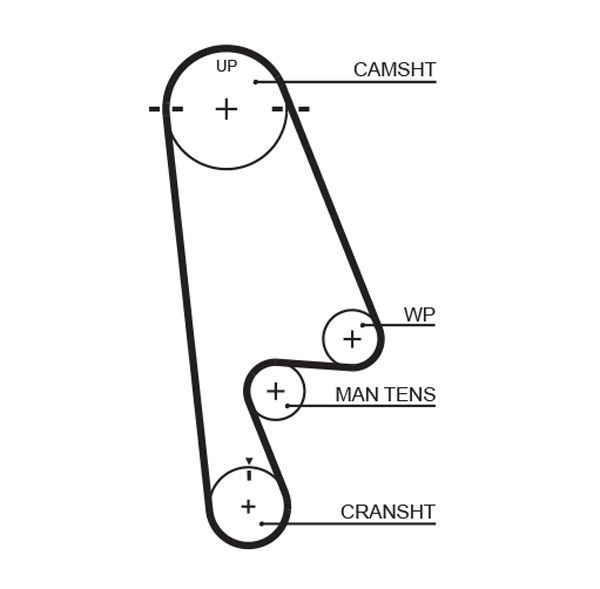 Courroie crantée PowerGrip®