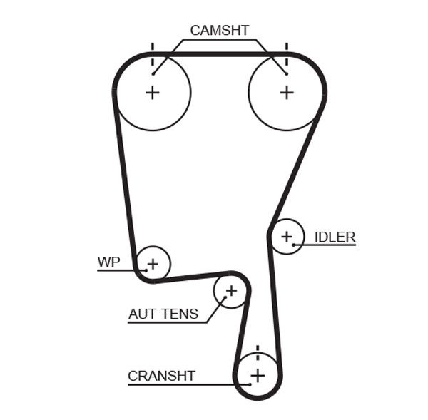 Courroie crantée PowerGrip®