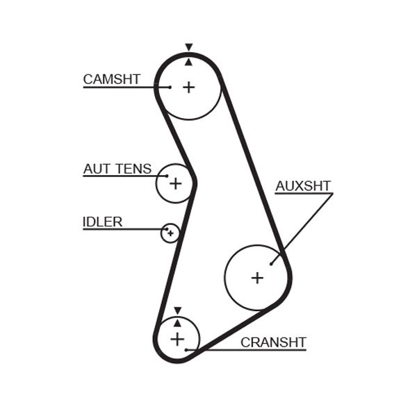 Courroie crantée PowerGrip®