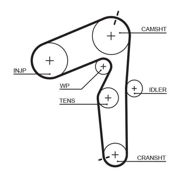 Courroie crantée PowerGrip®