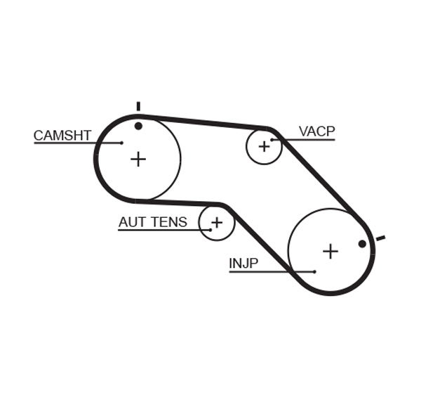 Courroie crantée PowerGrip®