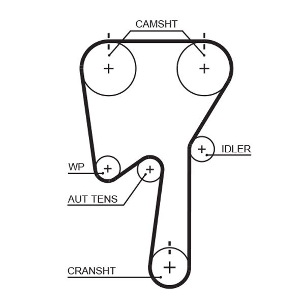 Courroie crantée PowerGrip®