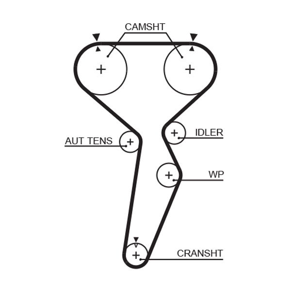 Courroie crantée PowerGrip®