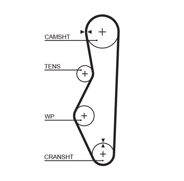 Courroie crantée PowerGrip®