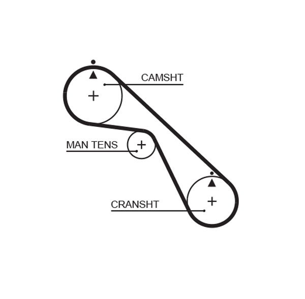 Courroie crantée PowerGrip®