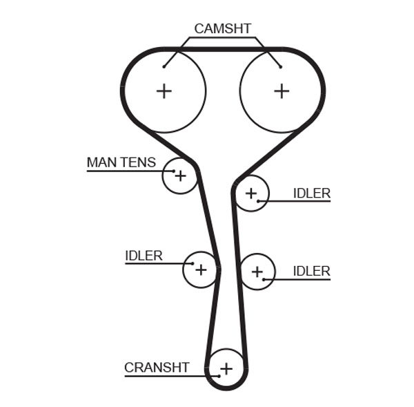 Courroie crantée PowerGrip®