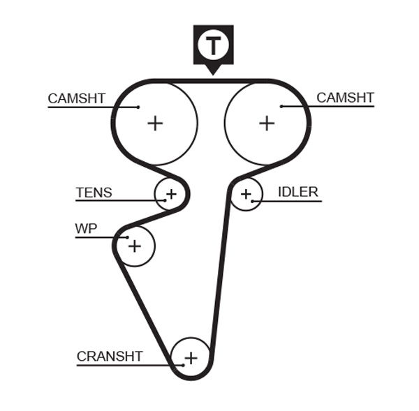 Courroie crantée PowerGrip®