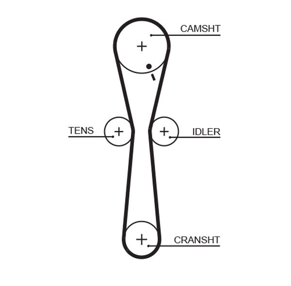 Courroie crantée PowerGrip®