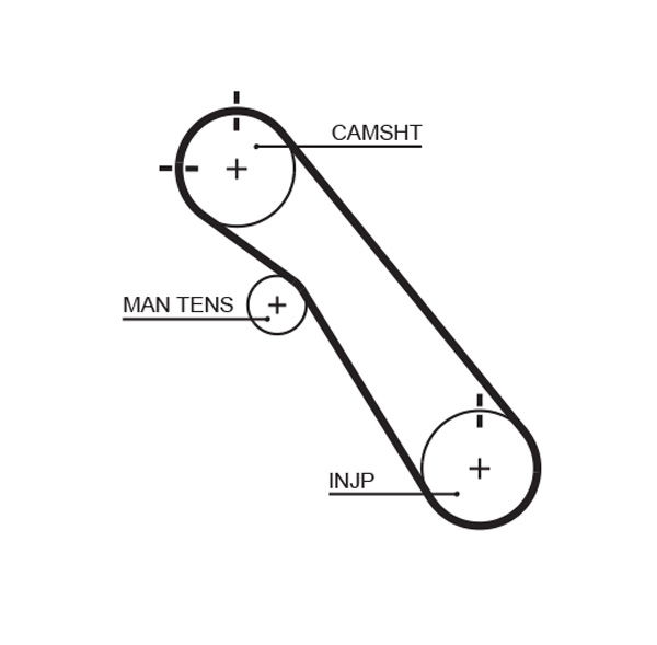 Courroie crantée PowerGrip®