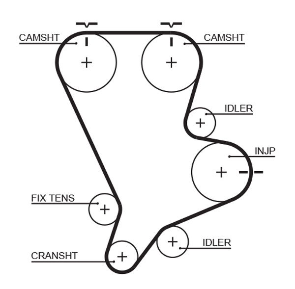 Courroie crantée PowerGrip®