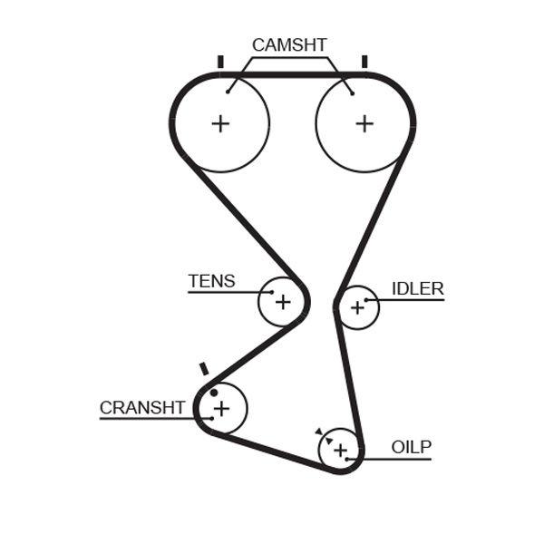 Courroie crantée PowerGrip®