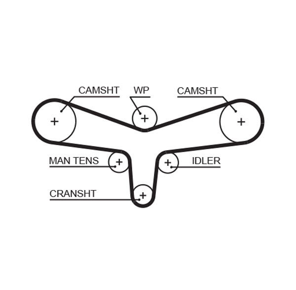 Courroie crantée PowerGrip®