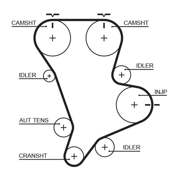 Courroie crantée PowerGrip®