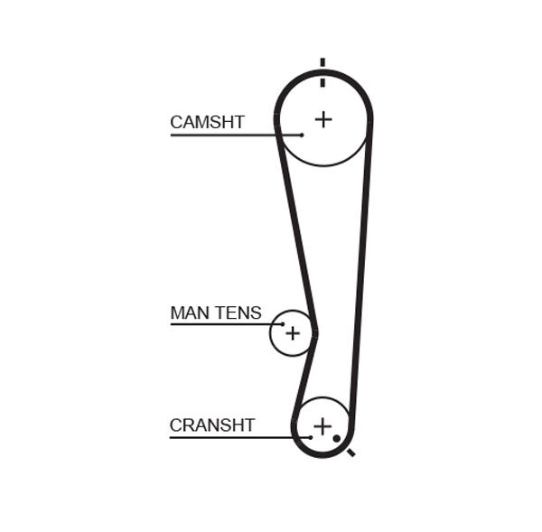 Courroie crantée PowerGrip®