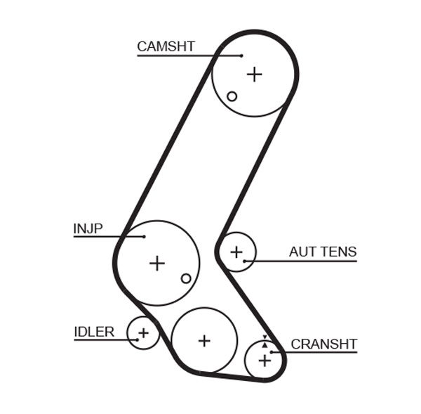 Courroie crantée PowerGrip®