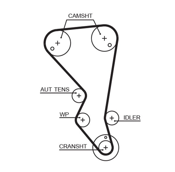 Courroie crantée PowerGrip®