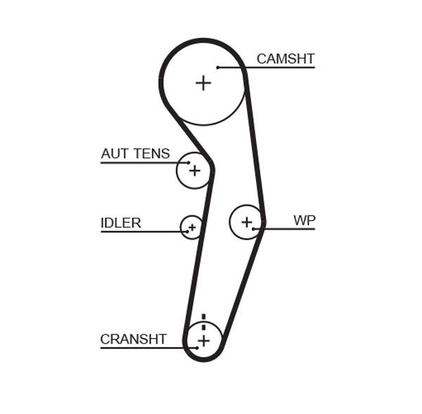 Courroie crantée PowerGrip®