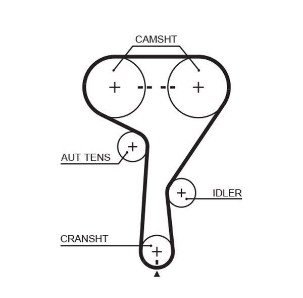 Courroie crantée PowerGrip®