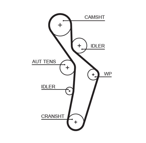 Courroie crantée PowerGrip®