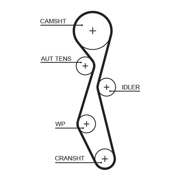 Courroie crantée PowerGrip®