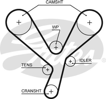 Courroie crantée PowerGrip®