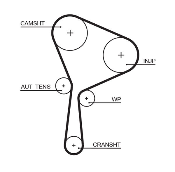 Courroie crantée PowerGrip®