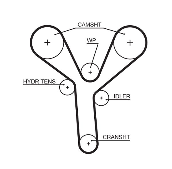 Courroie crantée PowerGrip®