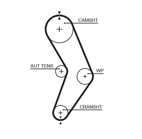 Courroie crantée PowerGrip®