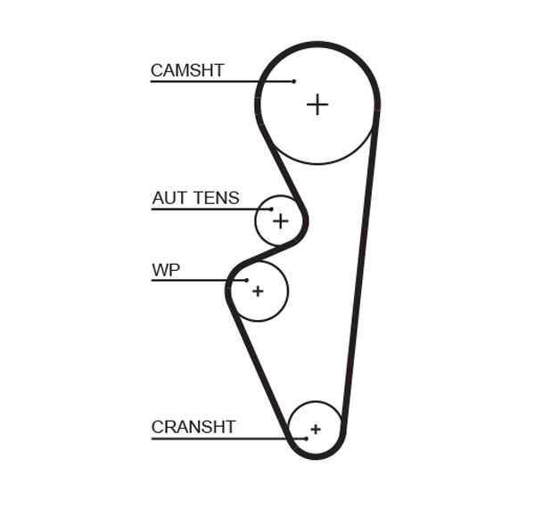 Courroie crantée PowerGrip®