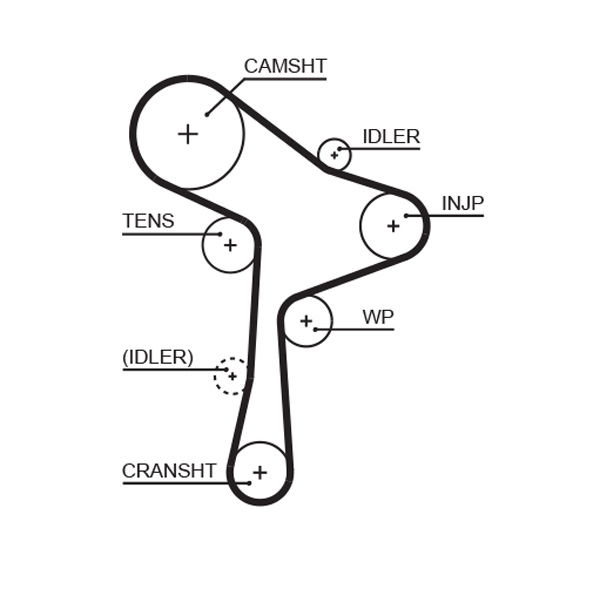 Courroie crantée PowerGrip®