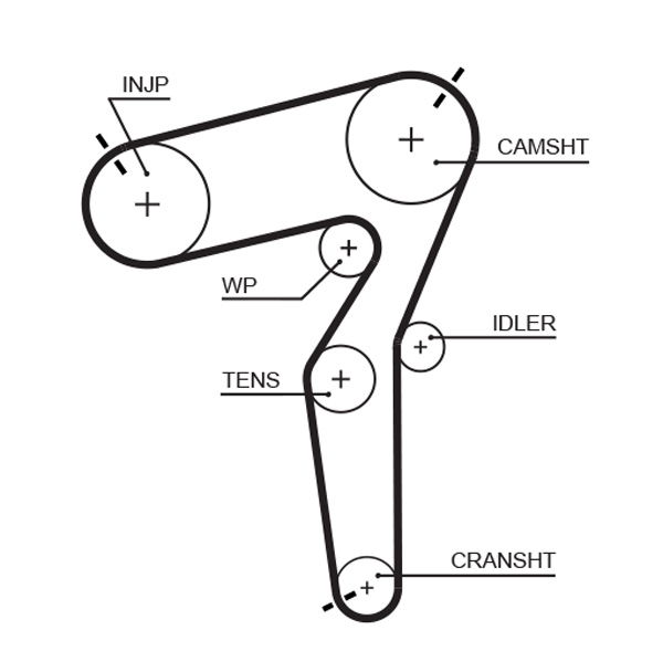 Courroie crantée PowerGrip®