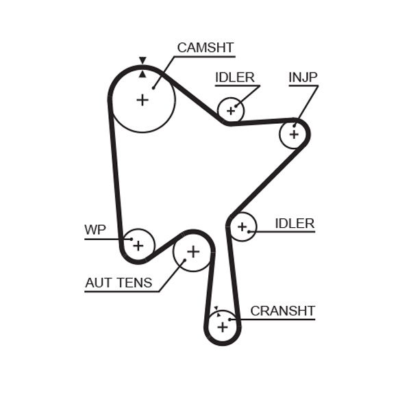 Courroie crantée PowerGrip®