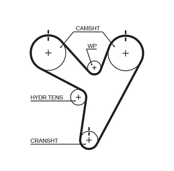 Courroie crantée PowerGrip®