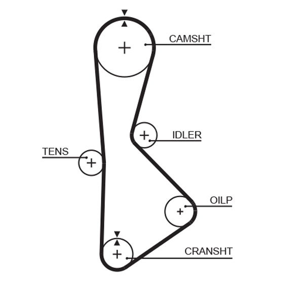 Courroie crantée PowerGrip®