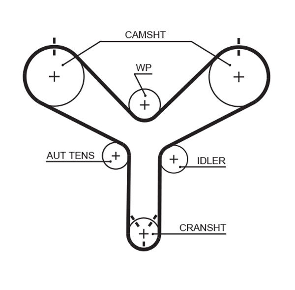 Courroie crantée PowerGrip®