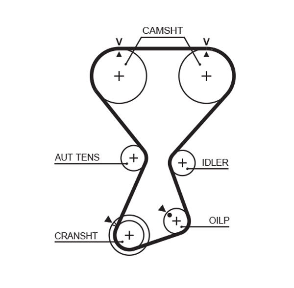 Courroie crantée PowerGrip®