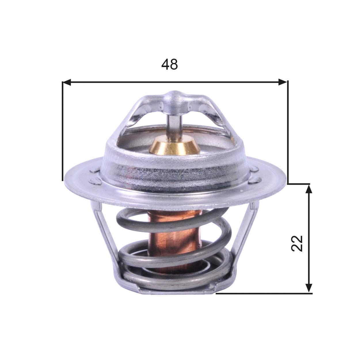 Thermostat d'eau