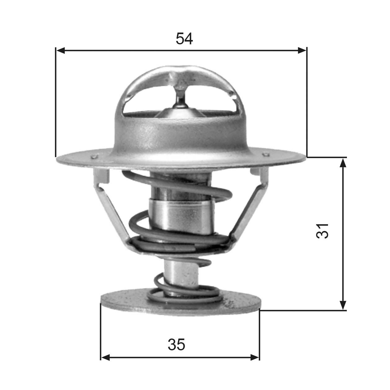 Thermostat d'eau