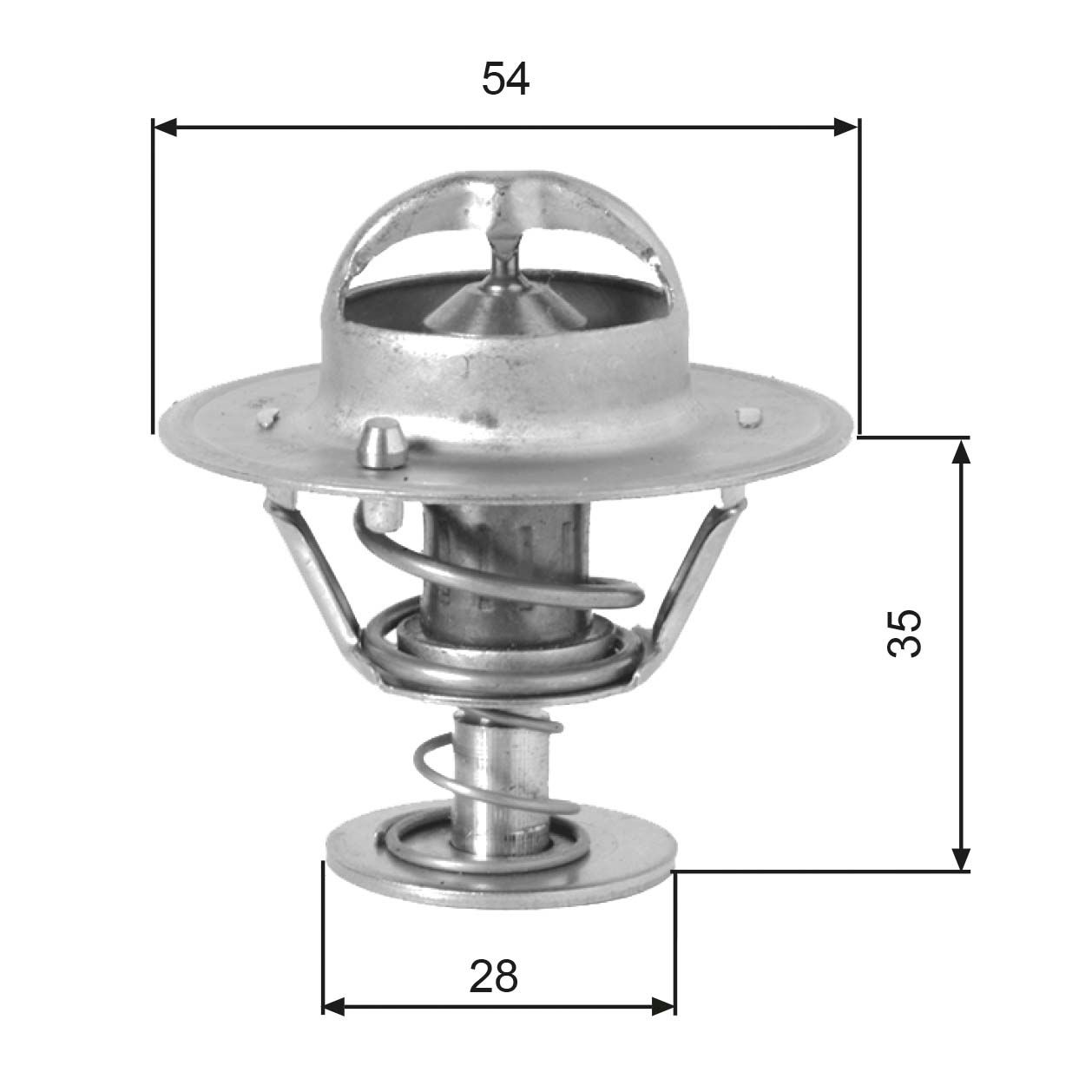 Thermostat d'eau