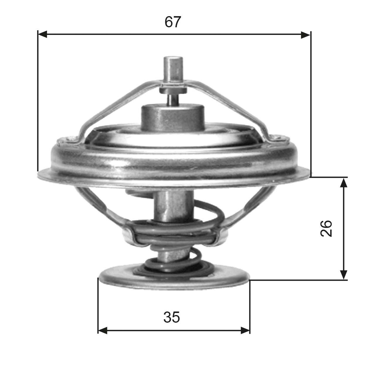 Thermostat d'eau