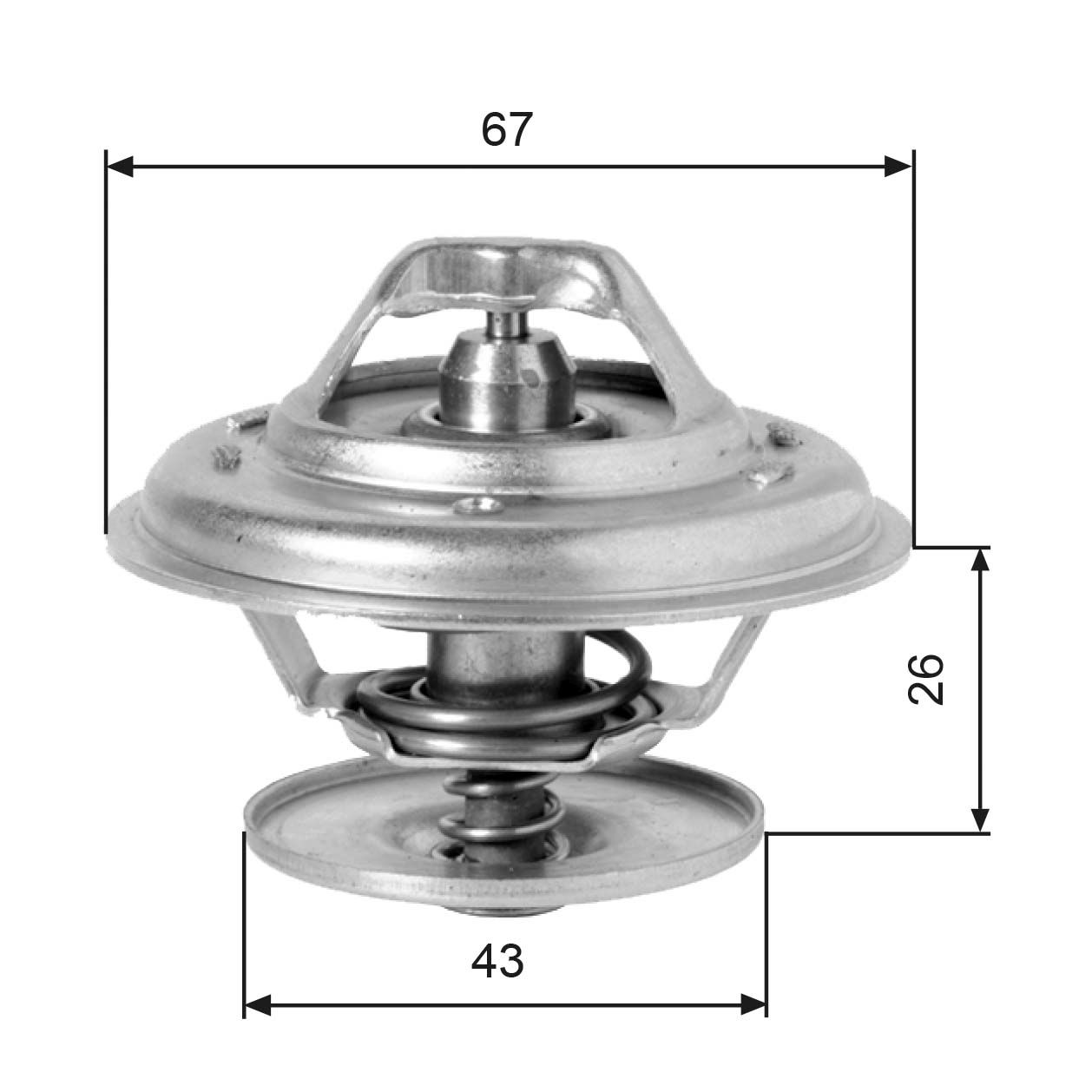 Thermostat d'eau