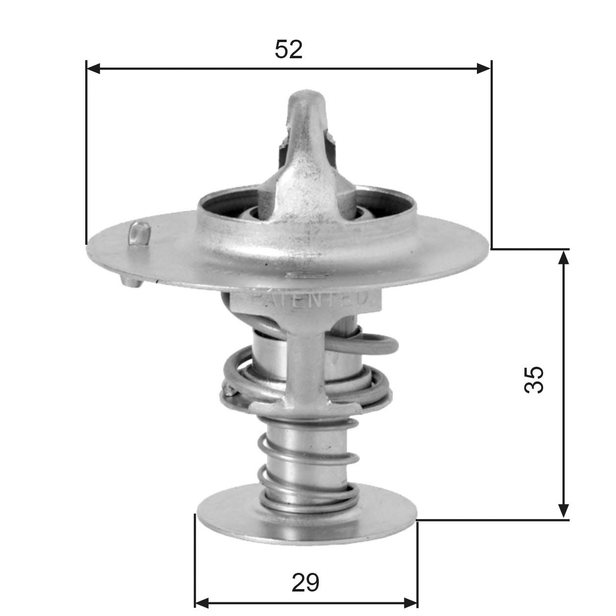 Thermostat d'eau