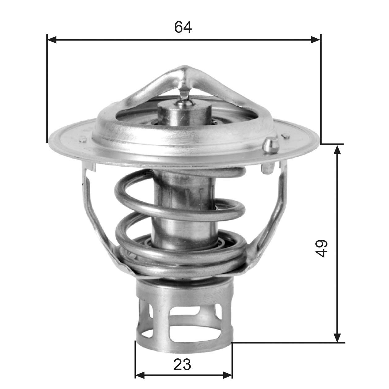 Thermostat d'eau