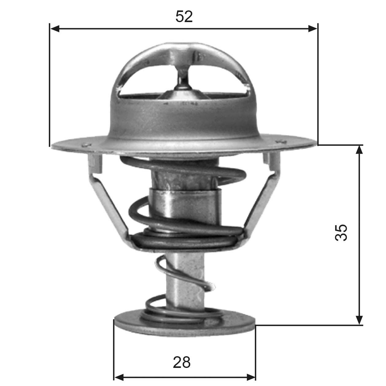 Thermostat d'eau