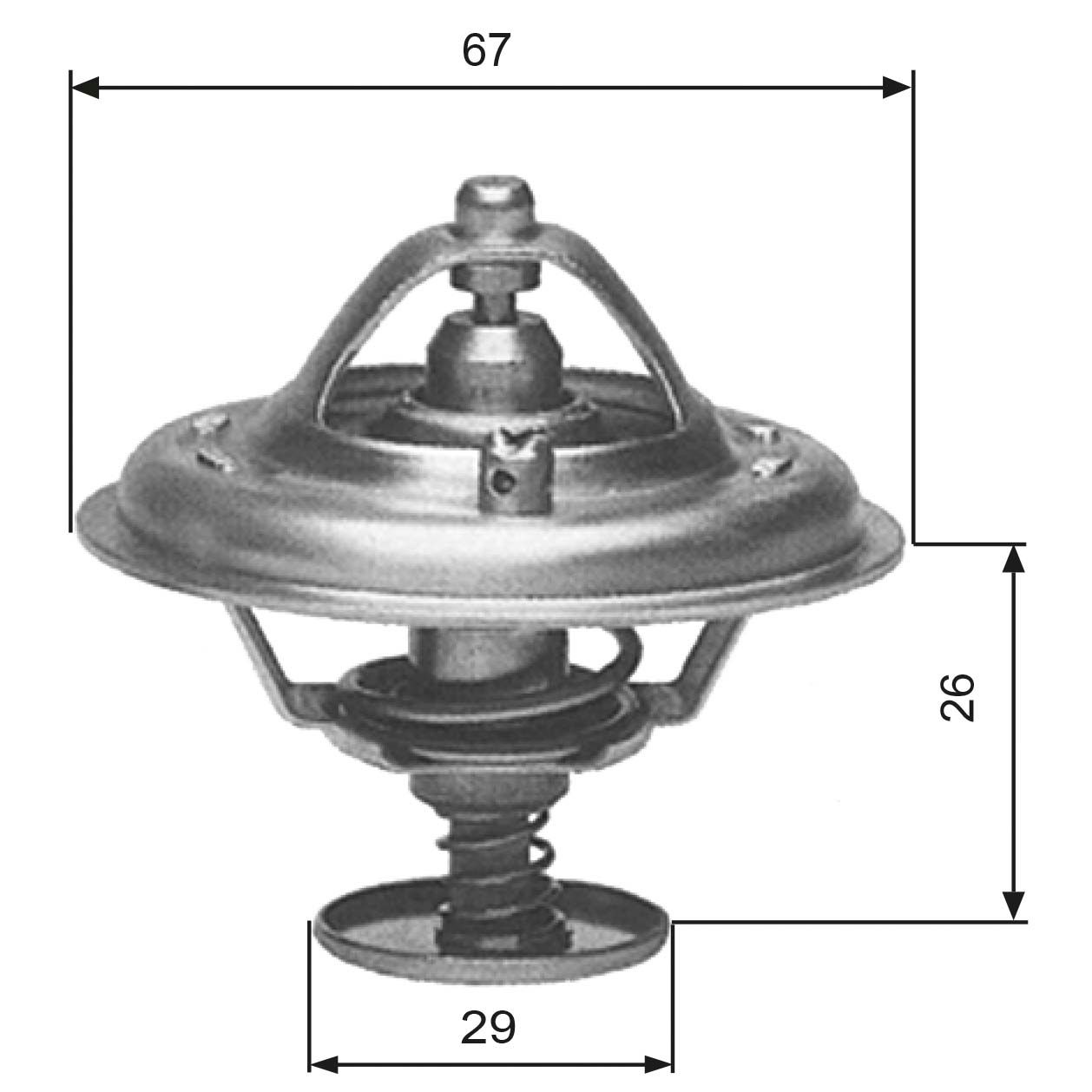 Thermostat d'eau