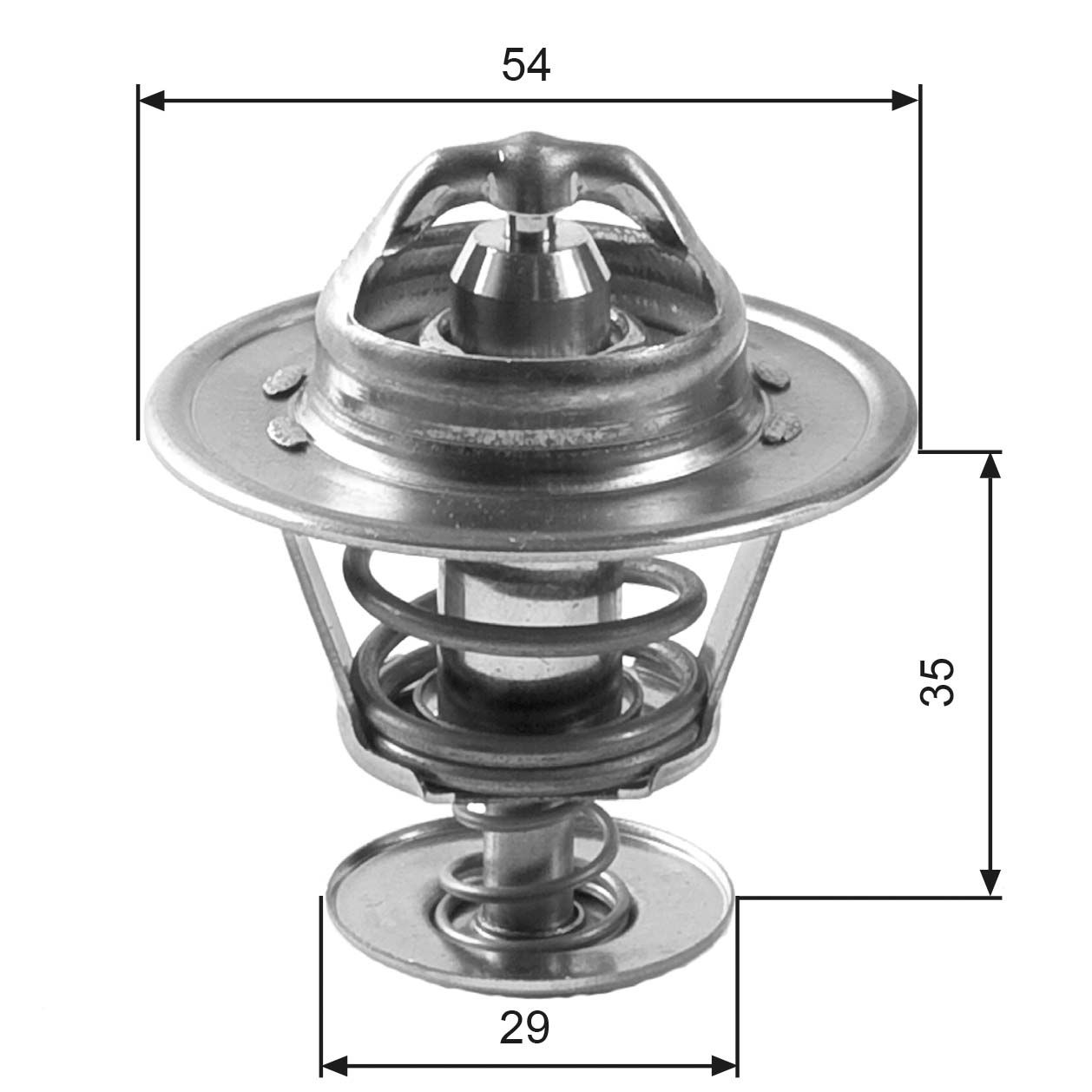 Thermostat d'eau