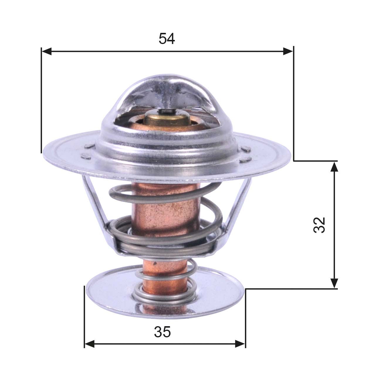 Thermostat d'eau