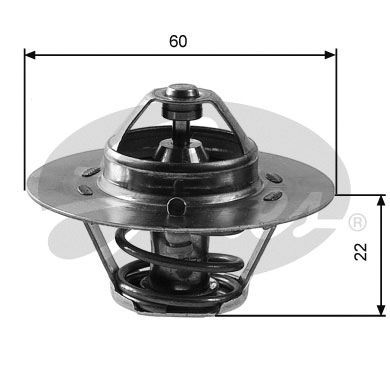 Thermostat d'eau