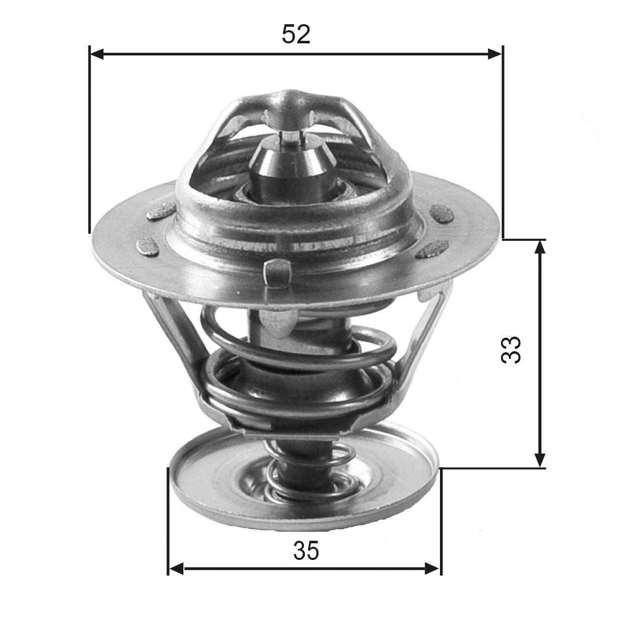 Thermostat d'eau